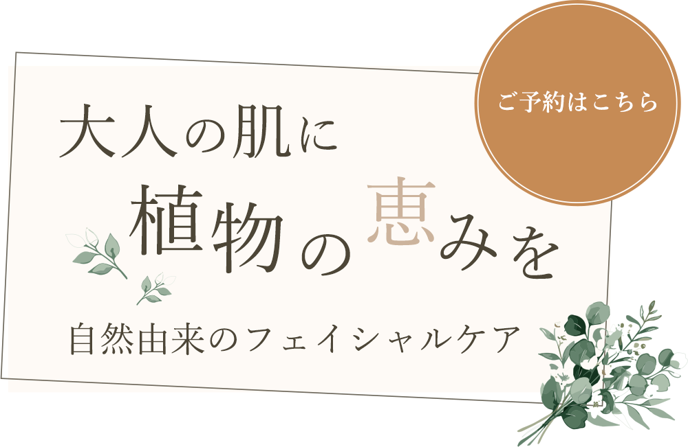 大人の肌に植物の恵みを